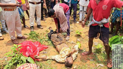 4 die in tusker attacks in two days in Keonjhar, Sundargarh