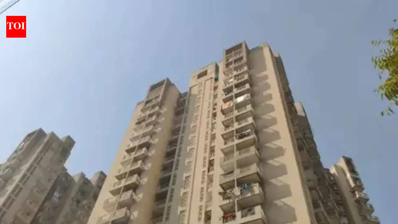 Man jumps to death from 5th floor in Greater Noida after 'stabbing' mother