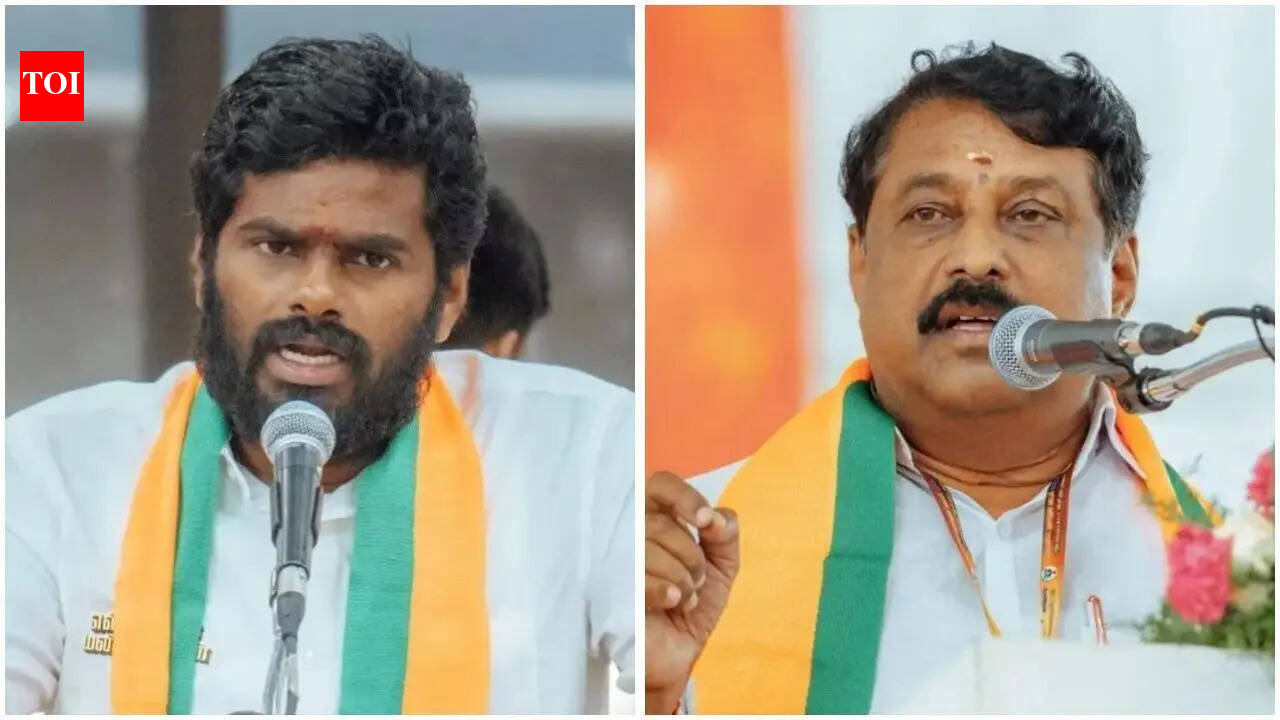 ‘Don't leave, we have PM Modi’: BJP TN chief's appeal to cadres after mass resignations
