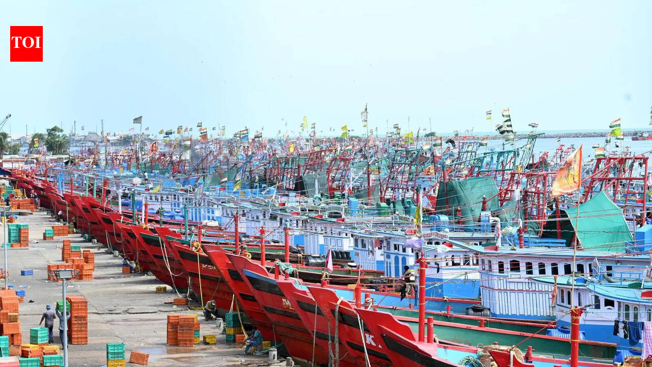 Retailers procure fish from TN, Andhra due to fishing ban