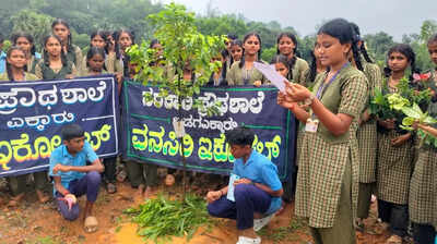 Govt school celebrates first birthday of bakula tree
