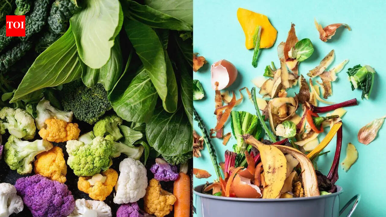 Regrow your kitchen scraps into a endless backyard harvest
