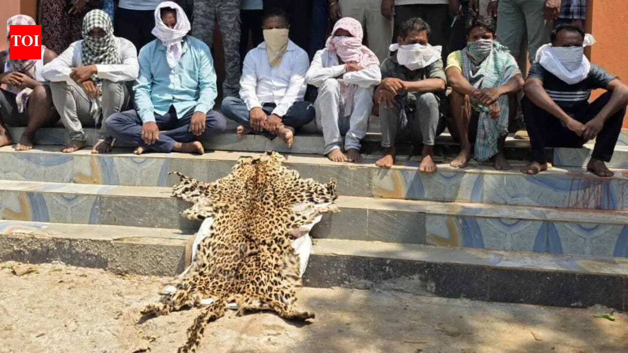 Eight held with leopard skin in Rayagada