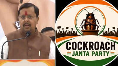 'People sitting abroad ... ': BJP chief's veiled attack at CJP protest over 'dragging youth into negative politics'