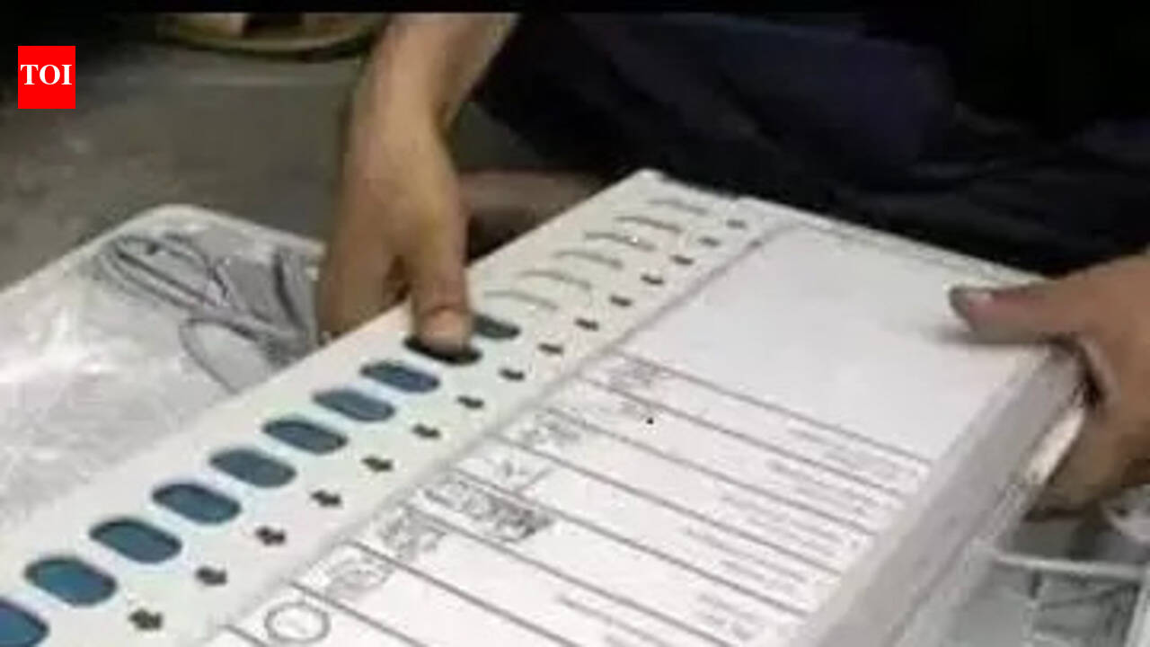 Sri Lankan held for voting in election