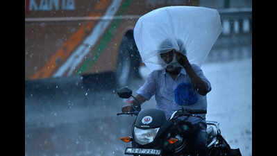 More rain likely as southwest monsoon advances towards T: IMD