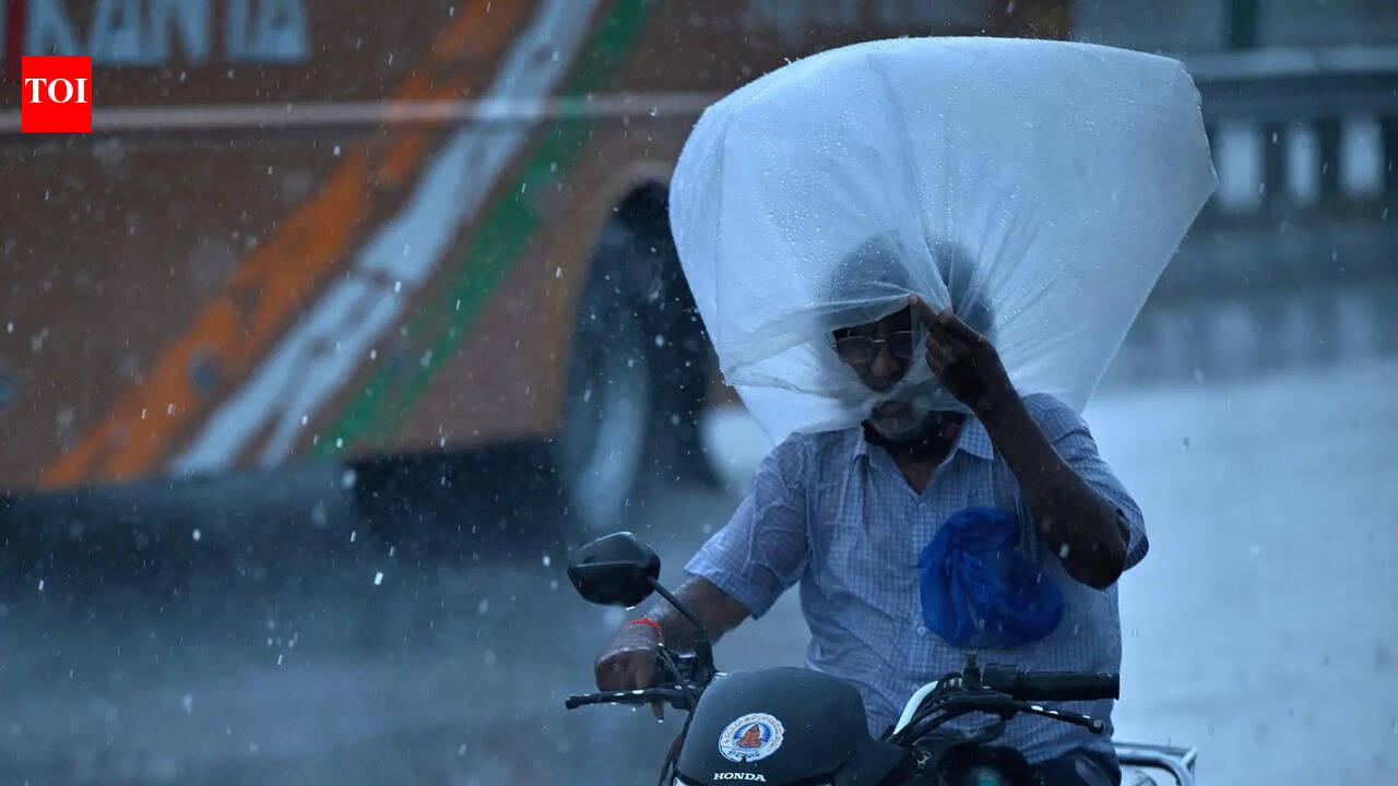 More rain likely as southwest monsoon advances towards T: IMD