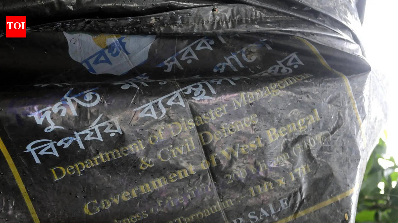 Day after mob fury, LIC files plaint to reclaim Suruchi Sangha land, puja fate under shadow