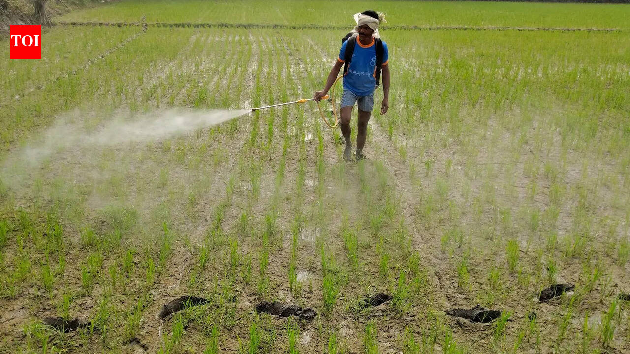 AP govt makes APAIMS app mandatory for urea, DAP sales