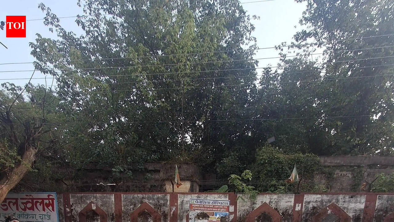 Unmarked and unsafe: Doon’s speed breaker menace