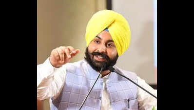 Gurdaspur university to roll out new industry aligned courses: Minister