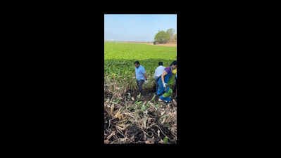 Corporators’ Stunt, Plastic Trash Trigger A Flutter