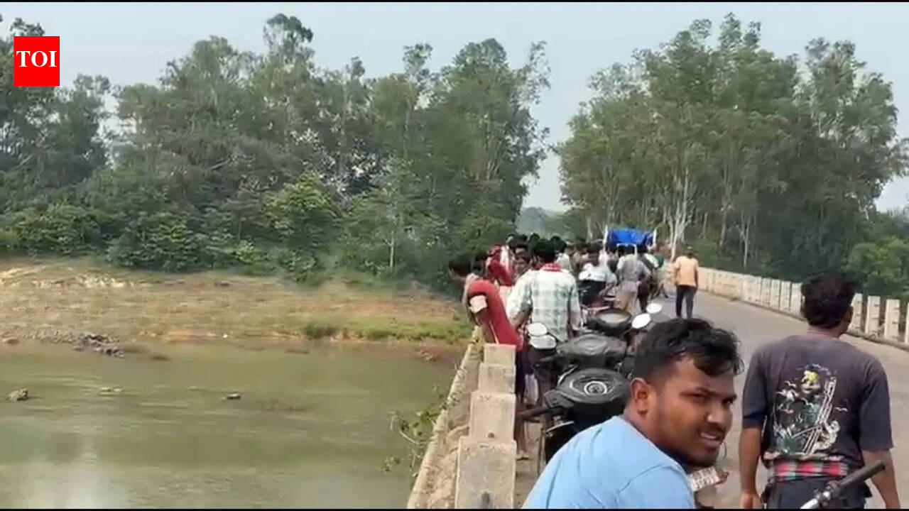 Man jumps off bridge into river, dies