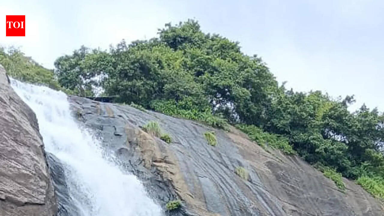 Plea against illegal toll gate near Courtallam falls