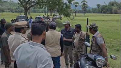 Wandering male tiger keeps Andhra Pradesh’s Polavaram villages on the edge