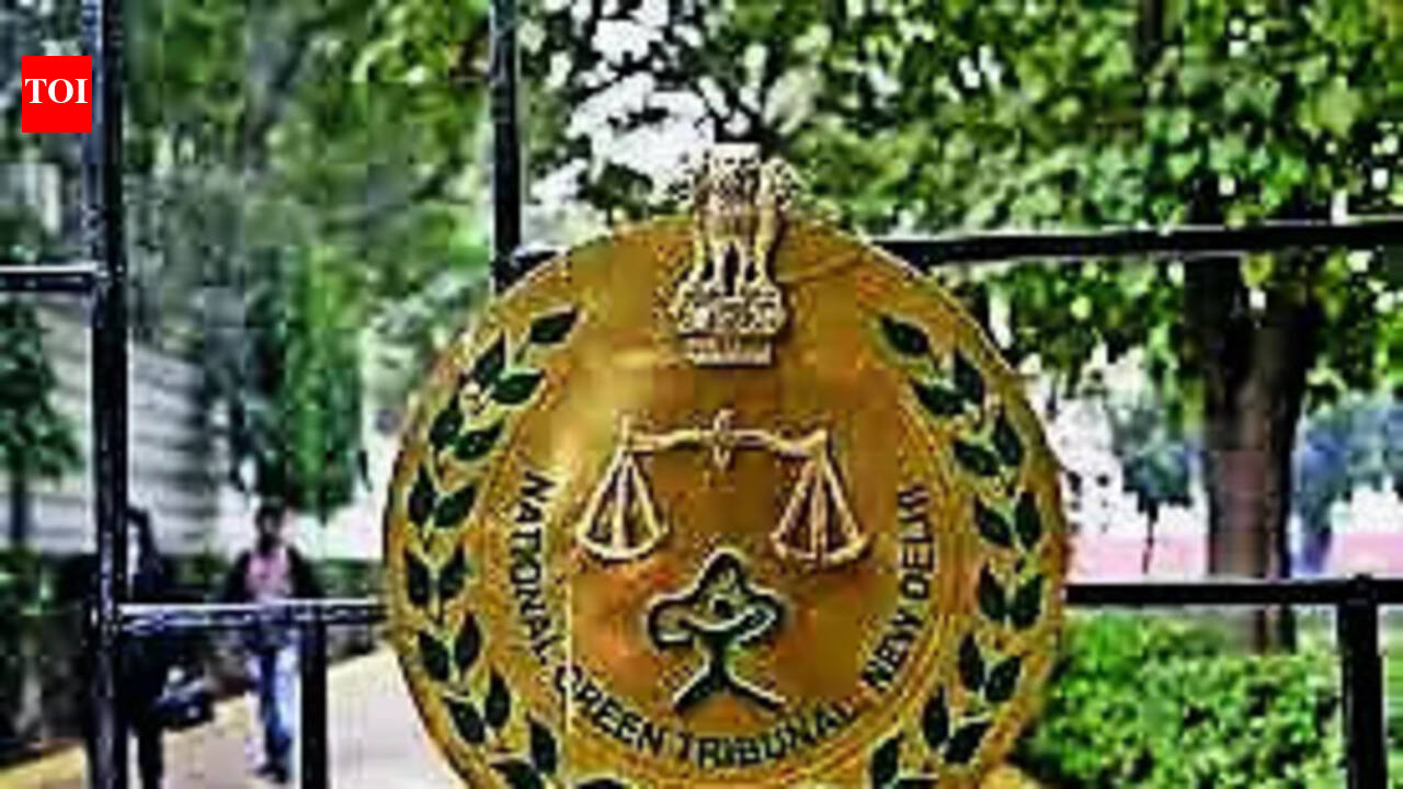 NGT seeks report on illegal borewells