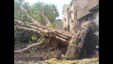 Storm, hail uproot trees & disrupt power supply in Sanawad