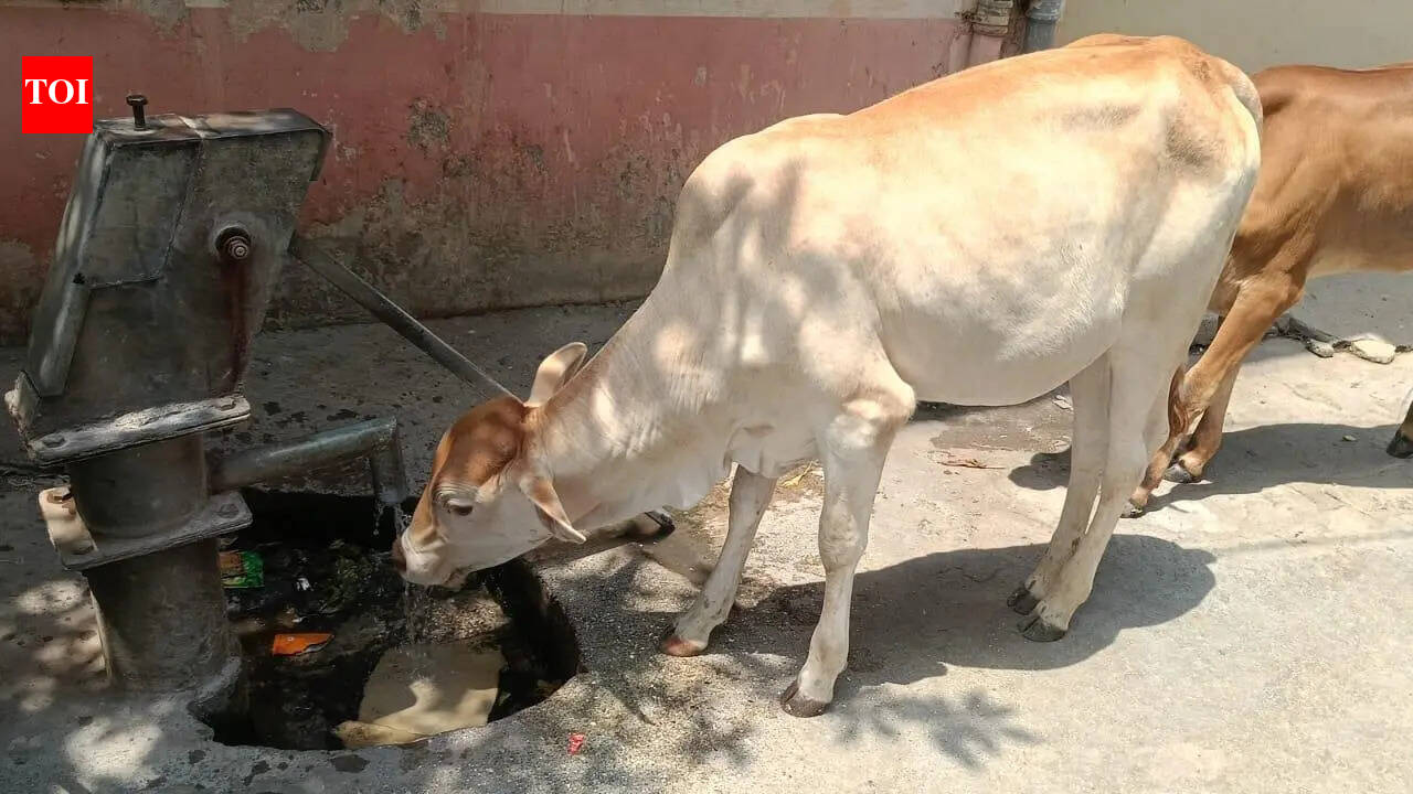 Over 20% rainfall deficit in Marathwada in first week of June