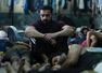 'Bandar' box office Day 2: Bobby Deol film collects Rs 90L