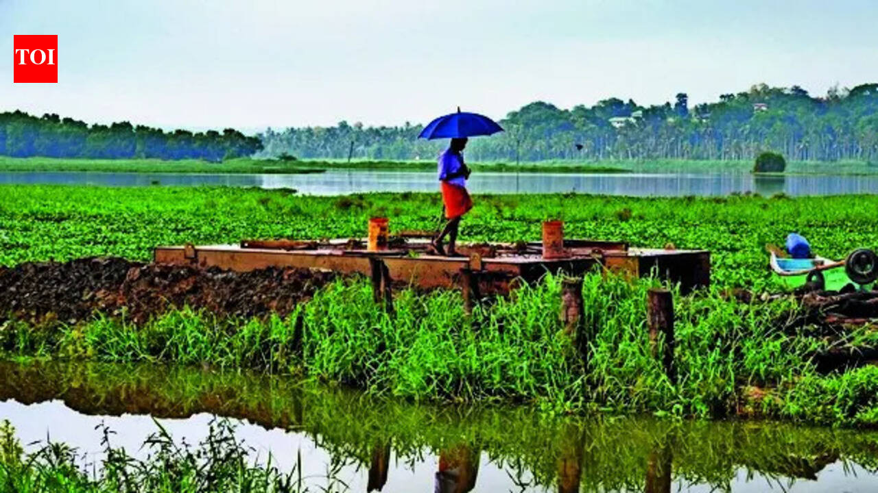 Monsoon knocks on Maharashtra door, but dry-air drag threatens march inland