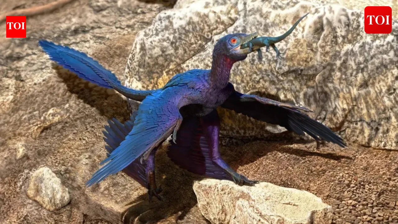 8 birds that look more like dinosaurs, reptiles, and even aliens