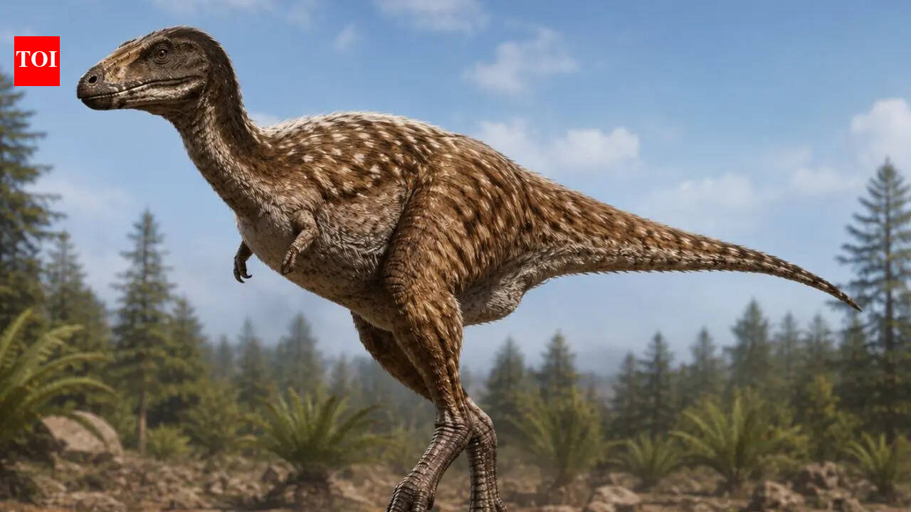 Tiny-armed Alvarezsauroid dinosaurs may have used powerful claws to hunt insects; study reveals