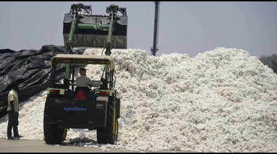 Import duty waiver on cotton to boost Gujarat textile sector competitiveness
