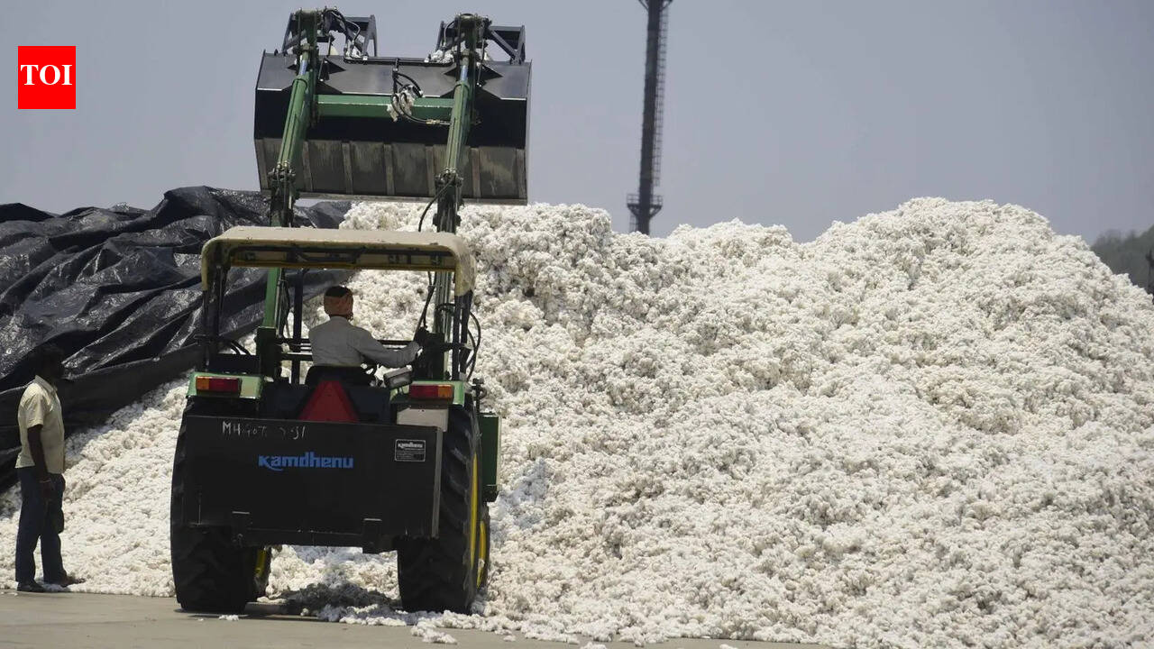 Import duty waiver on cotton to boost Gujarat textile sector competitiveness