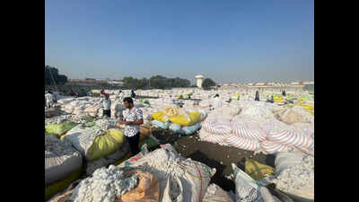 Import duty waiver on cotton to boost Gujarat textile sector competitiveness
