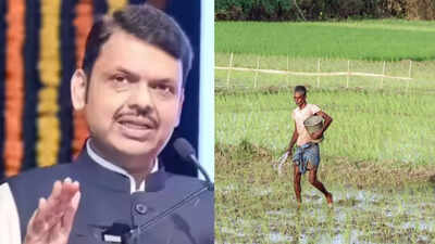Don't rush into sowing, monsoon rain likely to remain weak till June 15: Maharashtra CM Devendra Fadnavis