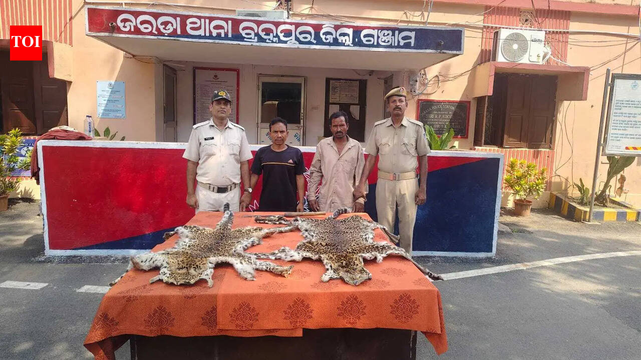 Duo nabbed with 2 leopard skins