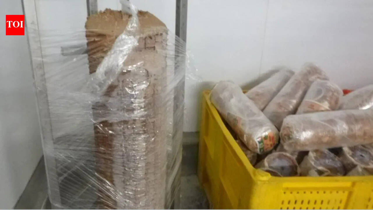 Kebab company fined over Rs 6.3 crore for selling lamb that was 'mostly skin and fat' in UK; given 4 years to pay