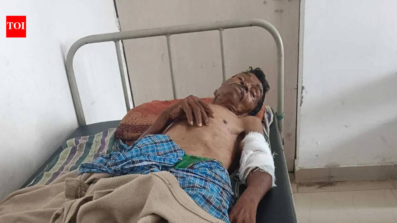 70-year-old mauled by bears in Bokaro forest