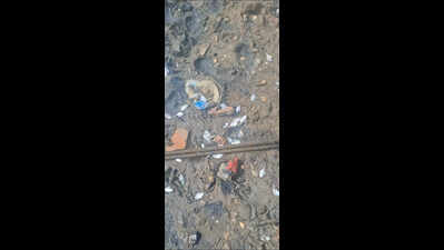 Fish kill along Phalguni: Locals, greens point fingers at pollution, coffer bund