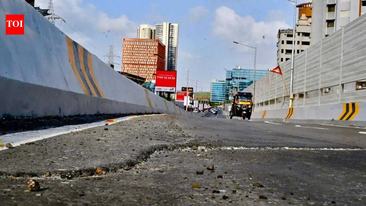 Mumbai’s Rs 248 crore Mrinal Tai Gore flyover faces backlash hours after opening over ‘patchy’ surface