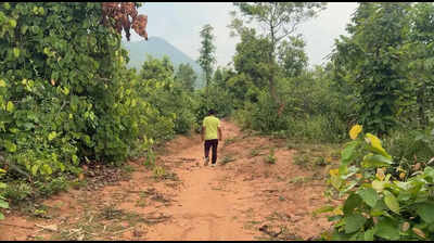 Bokaro picks five tourist hotspots for major infrastructure push