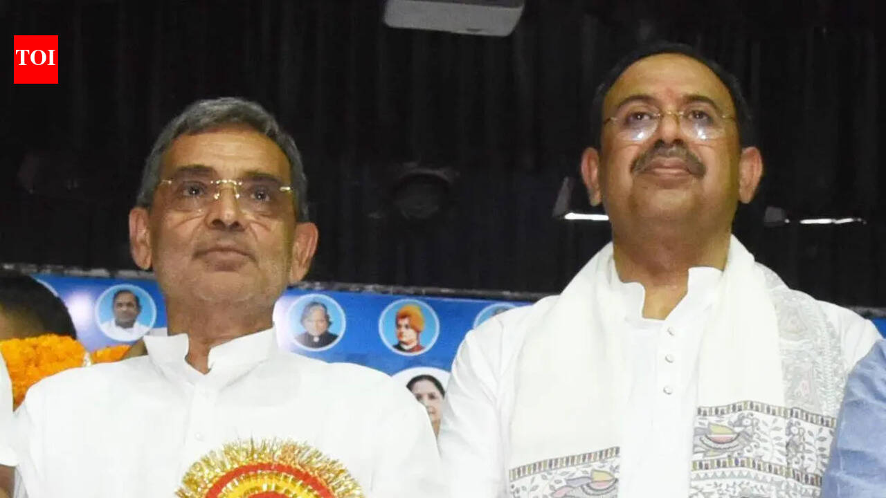Alok Singh reappointed RLM state chief