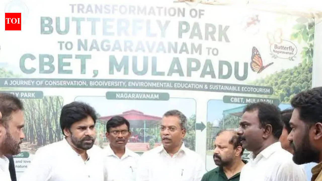 Pawan Kalyan takes up NTTPS pollution issue; Cabinet discussion likely