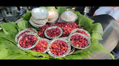 Climate change, erratic weather hit kafal yield in Tehri Garhwal hills