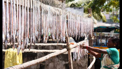 FIFO urges UN to recognise fisheries as a separate sector