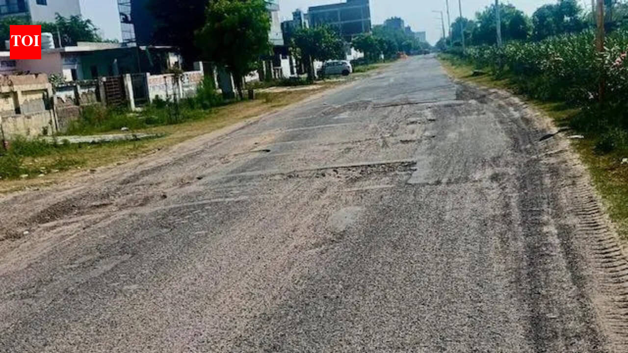 Broken roads, clogged drains &amp; dirty parks: What ails this sector