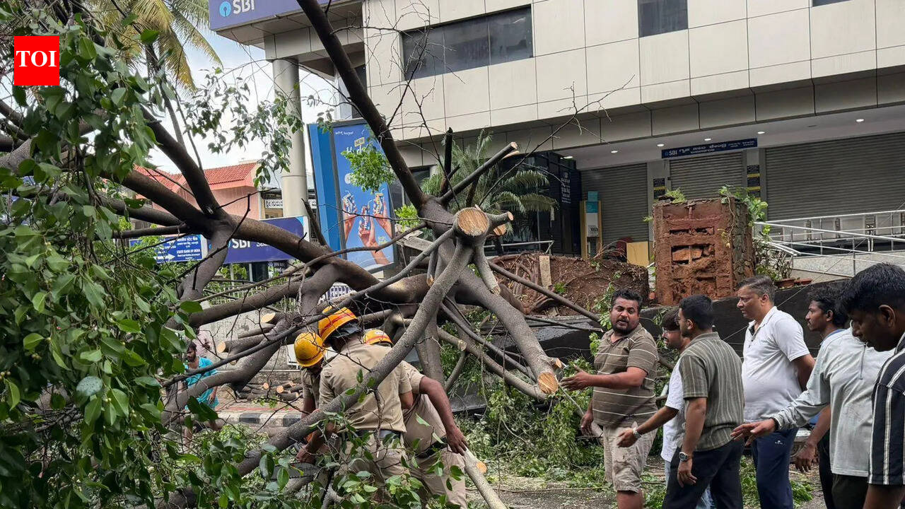 Massive tree, collapsed wall crush bus shelter in Bengaluru