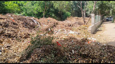  Park in Gurgaon turns dumpsite as garden waste heaps up