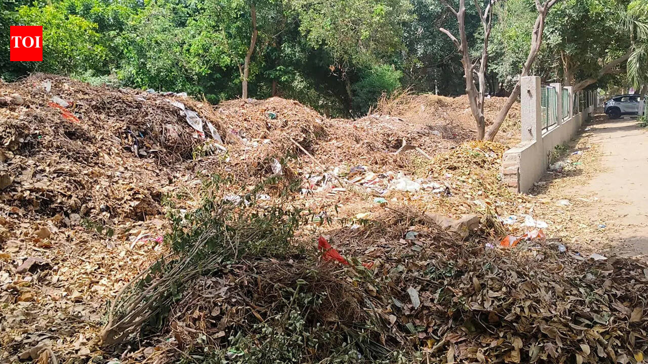 Insects, rodents, stench: Park in Gurgaon turns dumpsite as garden waste heaps up