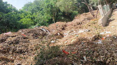  Park in Gurgaon turns dumpsite as garden waste heaps up
