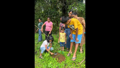 Ponda church turns tree plantation into interfaith connection