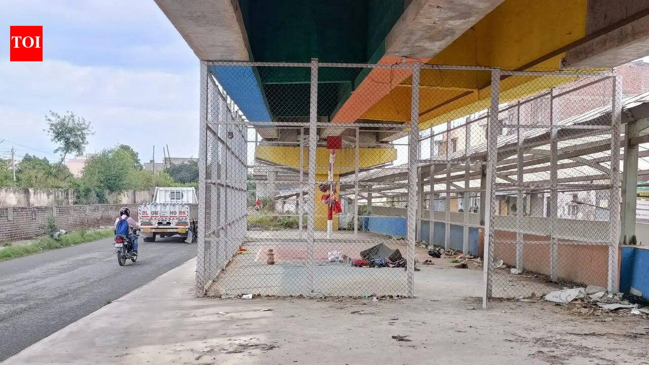 Sports hubs under flyovers left to rot in Ludhiana.