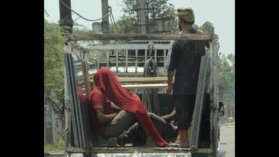 Industrial city Ludhiana facing above-42°C temperature, residents desert streets.