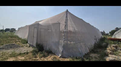 Flat insect-nets may soon replace polyhouses in Punjab.