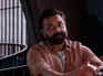 'Bandar' BO Day 3: Bobby Deol starrer crosses Rs 2 crore